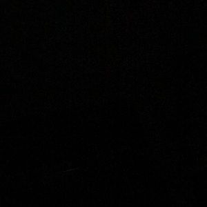 Meet your Posher, Maddy